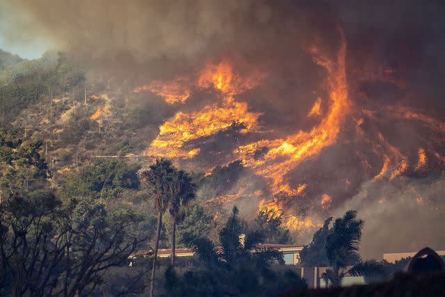 Penjelasan pakar soal perubahan iklim berperan besar terhadap kebakaran di Los Angeles